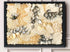 coral and abalone wall art landscape
